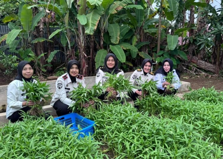 WhatsApp Image 2026 01 21 at 16.35.15