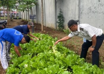 WhatsApp Image 2026 01 22 at 11.27.55 1