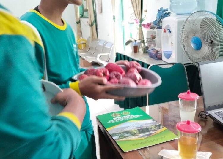 WhatsApp Image 2026 01 23 at 10.06.41