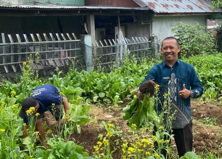 WhatsApp Image 2026 01 23 at 11.34.34