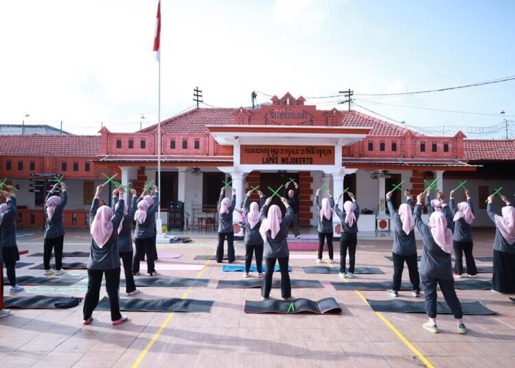 WhatsApp Image 2026 01 24 at 08.53.29