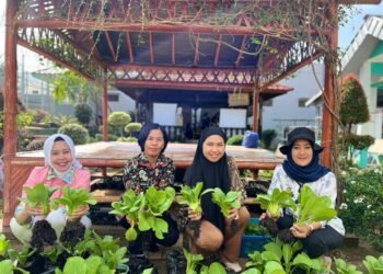 Panen Sawi di Lapas Perempuan Bengkulu, Bukti Pembinaan Kemandirian Terus Berjalan 47 WhatsApp Image 2026 01 24 at 09.35.47