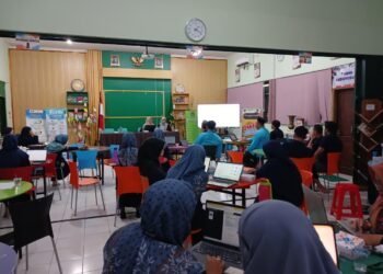 WhatsApp Image 2026 01 26 at 11.11.53