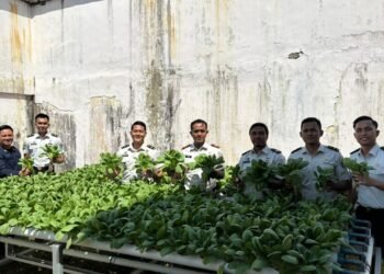 Dukung 15 Akselerasi Kemenimipas, Rutan Bengkulu Panen Pakcoy Hasil Program Pembinaan Kemandirian 46 WhatsApp Image 2026 01 27 at 10.48.28