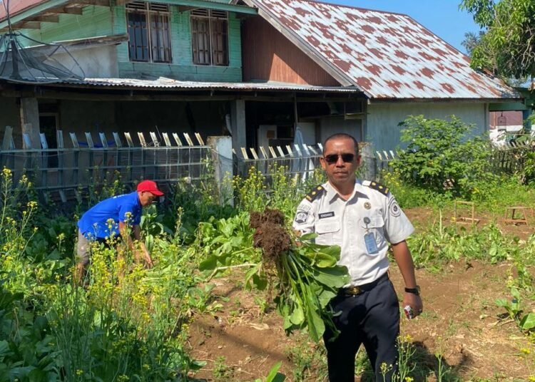 WhatsApp Image 2026 01 27 at 13.27.51 1