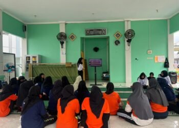 WhatsApp Image 2026 01 28 at 11.39.46