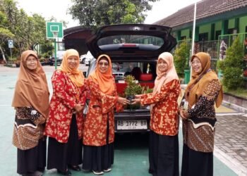 WhatsApp Image 2026 01 28 at 12.25.48