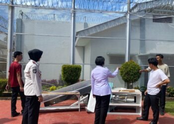 WhatsApp Image 2026 01 29 at 10.47.46