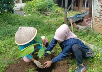 KKN Mandiri UPGRIS 2026 Bersama Kelompok Wanita Tani Sari Esti Peni Melaksanakan Kegiatan Program Pemanfaatan Lahan Pekarangan Dengan Penanaman Pohon Pisang 46 a387b893 33c6 4b1d 831d ef302b48bf61