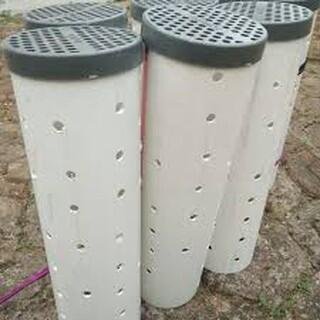 ef0c27521496aba1544d877a890a2761 tn