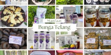 fotoooo bunga telang
