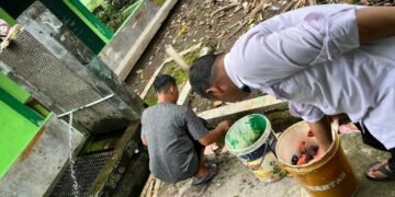 panen ikan