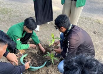 Mahasiswa KKN Kelompok 28 Universitas Malikussaleh Laksanakan Reboisasi Pascabanjir di Gampong Gelumpang Sulu Timu 46 profil nnm pohon