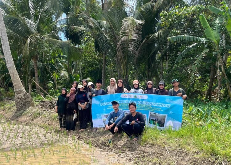 Pastikan Kesiapan Lahan Demplot, Mahasiswa HIMAGRI Unimal Cek pH Tanah Sawah di Gampong Pulo Iboih 46 HIMAGRI FP UNIMAL Lakukan Cek pH Tanah Sawah Pada Lahan Demplot Padi Sawah Desa Pulo Iboih. Sumber: DOK.HIMAGRI FP UNIMAL