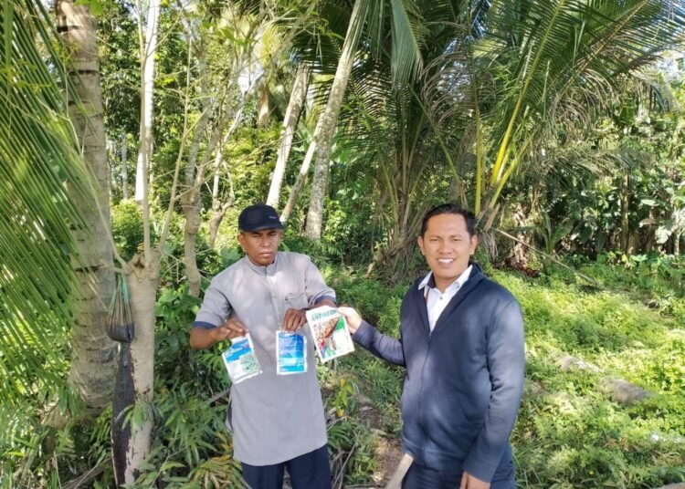 Pemantauan Lahan Demplot Padi Sawah Oleh Dr. Setia Budi Selaku Dosen Pembimbing Lapangan dan juga Dosen Agribisnis Universitas Malikussaleh Nopri Yanto. Sumber: Dok.HIMAGRI FP UNIMAL