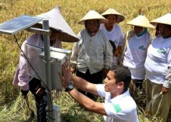 Tanpa Internet, Petani Mengandalkan Aplikasi Cuaca Cetak untuk Menentukan Musim Tanam
