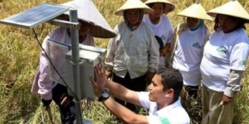 Tanpa Internet, Petani Mengandalkan Aplikasi Cuaca Cetak untuk Menentukan Musim Tanam