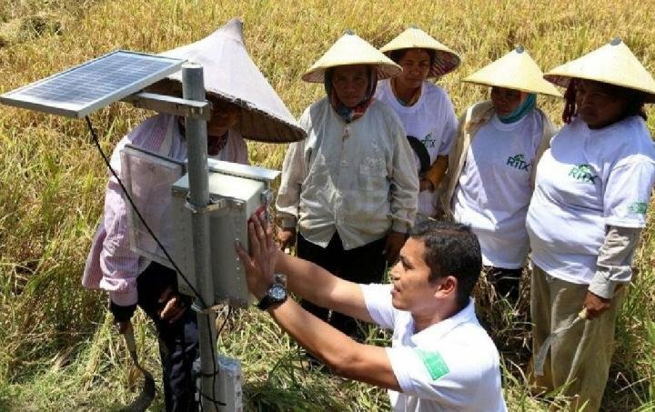 Tanpa Internet, Petani Mengandalkan Aplikasi Cuaca Cetak untuk Menentukan Musim Tanam