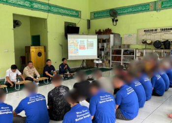 5fa754e6 529f 478c a1c5 a981bcde227b