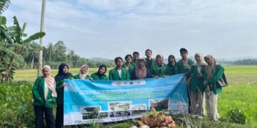 Melaksanakan Kegiatan Tinjauan Lahan Padi Milik Warga untuk Dijadikan Demplot (Demonstration Plot). Sumber: Dok.HIMAGRI FP UNIMAL