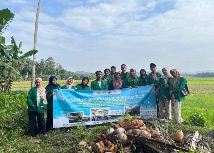 Melaksanakan Kegiatan Tinjauan Lahan Padi Milik Warga untuk Dijadikan Demplot (Demonstration Plot). Sumber: Dok.HIMAGRI FP UNIMAL