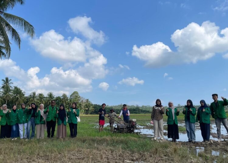 HIMAGRI FP UNIMAL Berkolaborasi Bersama Masyarakat Desa Pulo Iboih dalam Melaksanakan Pembajakan Lahan Sawah Seluas 2 Rante Sebagai Bentuk Langkah Awal Penanaman. Sumber: DOK.HIMAGRI FP UNIMAL