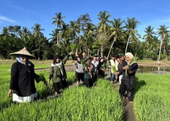 Melaksanakan Kegiatan Penanaman Padi Sawah di Lahan Demonstrasi Plot (Demplot) Gampong Pulo Iboih, Kecamatan Kuta Makmur, Kabupaten Aceh Utara. Sumber: DOK.HIMAGRI FP UNIMAL