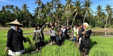 Melaksanakan Kegiatan Penanaman Padi Sawah di Lahan Demonstrasi Plot (Demplot) Gampong Pulo Iboih, Kecamatan Kuta Makmur, Kabupaten Aceh Utara. Sumber: DOK.HIMAGRI FP UNIMAL