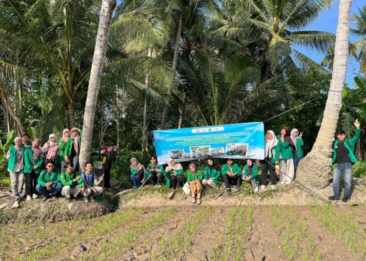 Melaksanakan pemantauan hasil penanaman padi sawah sistem jajar legowo di lahan demonstrasi plot (demplot) Gampong Pulo Iboih, Kecamatan Kuta Makmur, Kabupaten Aceh Utara. Sumber: DOK.HIMAGRI FP UNIMAL