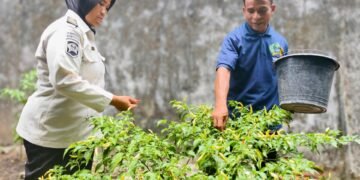 Warga Binaan Lapas Bandanaira Manfaatkan Branggang untuk Budidaya Cabai 28 IMG 20260223 WA0053