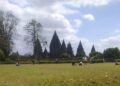 Prambanan, Garis Imajiner, dan Cara Pandang Kosmologis yang Terlupakan 65 Candi Prambanan Yogyakarta (Yusuf)