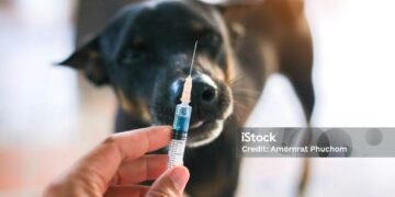 IMG 20260227 WA00251