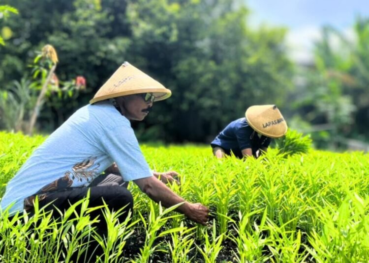 Lapas Bandanaira Panen 50 Ikat Kangkung, Warga Binaan Produktif Dukung Ketahanan Pangan 46 IMG 20260228 WA0002