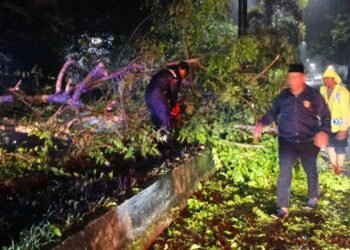 Polsek Barru Evakuasi Pohon Tumbang