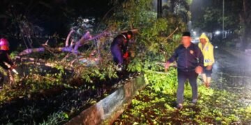 Polsek Barru Evakuasi Pohon Tumbang