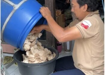 Mahasiswa Program Belajar Bersama Komunitas (BBK) 7 Desa Kroman saat sedang melaksanakan kegiatan di UMKM lokal sebagai pelaksanaan program kerja KROMANIAGA pada Senin (8/1/2026) (Foto: Dok. Tim BBK 7)