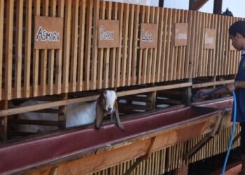 WhatsApp Image 2026 02 02 at 11.24.07