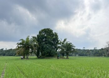 WhatsApp Image 2026 02 03 at 15.40.01