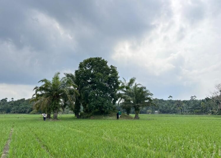 WhatsApp Image 2026 02 03 at 15.40.01