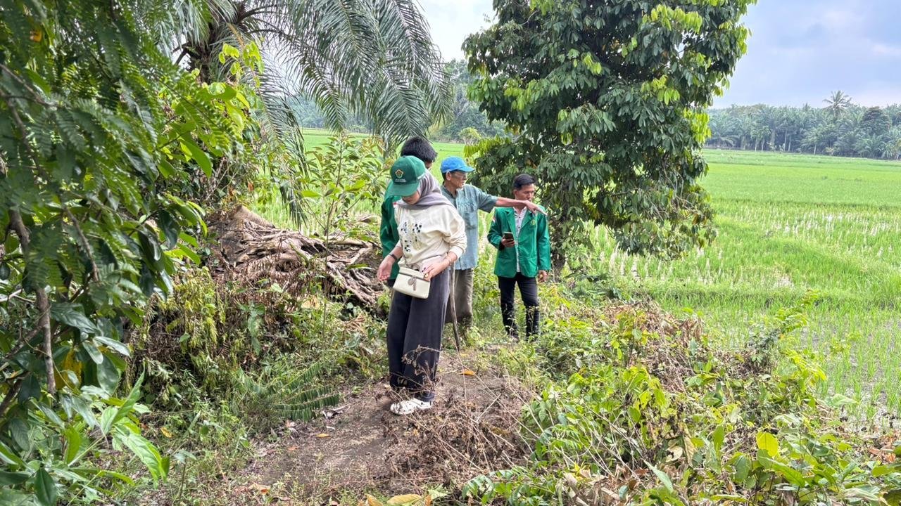 WhatsApp Image 2026 02 03 at 15.40.55 1