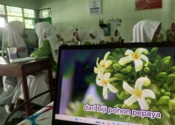 Kegiatan Kokurikuler “Bertani Itu Keren” Kelas 8 MTsN 6 Bantul Kenali Bermacam Sayuran 49 WhatsApp Image 2026 02 05 at 07.27.10