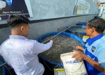 WhatsApp Image 2026 02 05 at 09.26.52