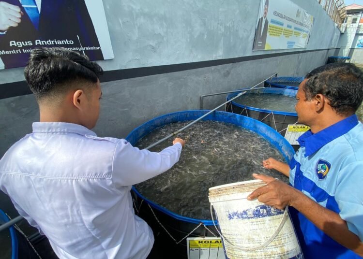 WhatsApp Image 2026 02 05 at 09.26.52