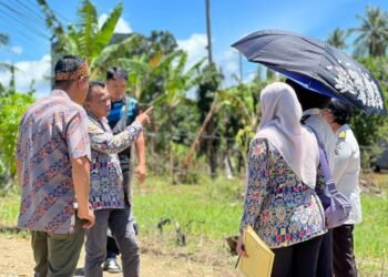 WhatsApp Image 2026 02 05 at 14.02.20