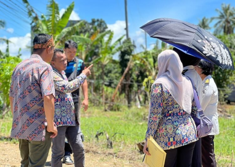 WhatsApp Image 2026 02 05 at 14.02.20