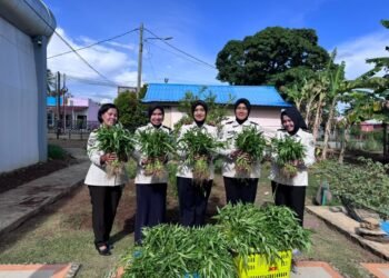 WhatsApp Image 2026 02 05 at 17.09.11 2