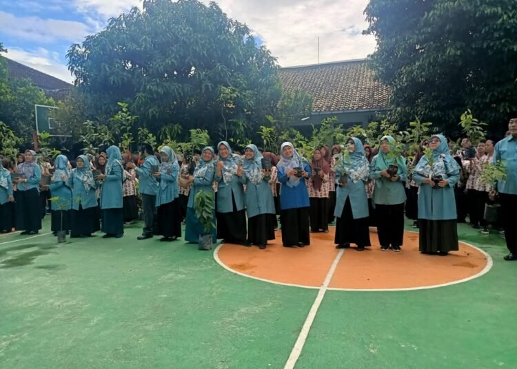 WhatsApp Image 2026 02 06 at 09.16.34