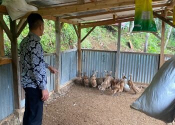 WhatsApp Image 2026 02 06 at 11.08.59