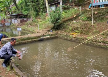 WhatsApp Image 2026 02 06 at 11.09.11