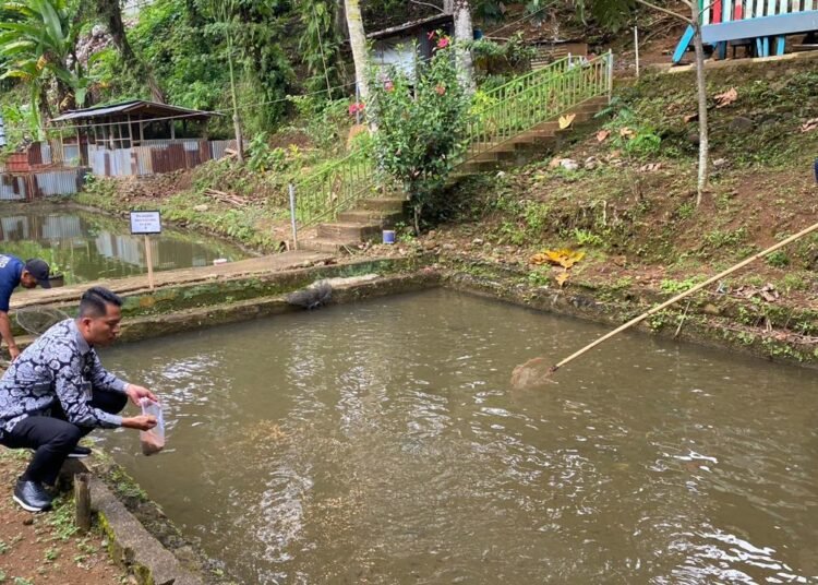 WhatsApp Image 2026 02 06 at 11.09.11